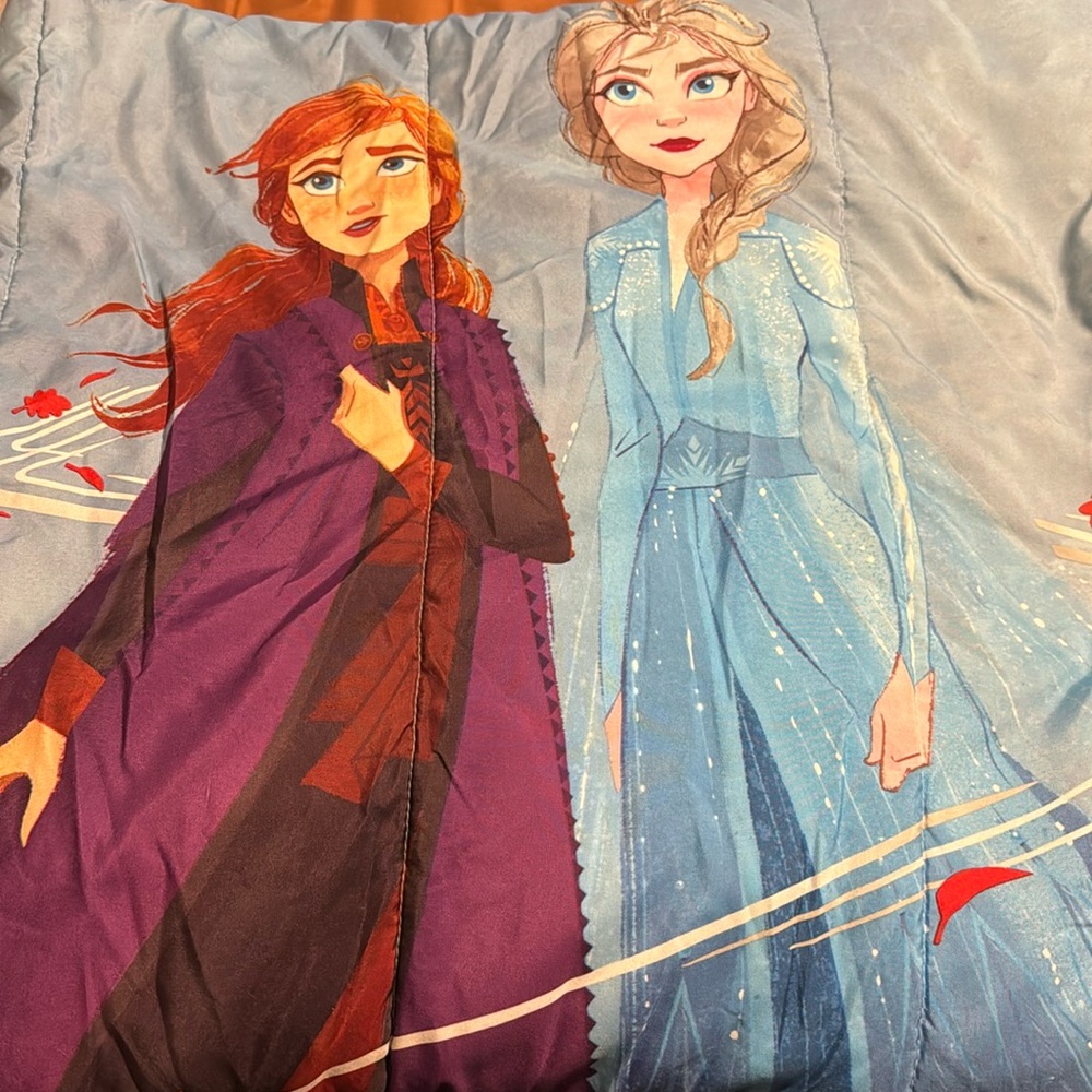 Disney Frozen Twin comforter with sham